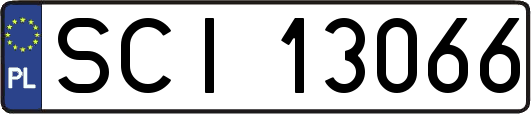 SCI13066