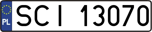 SCI13070