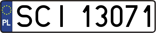 SCI13071