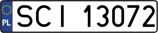 SCI13072