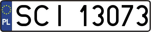 SCI13073
