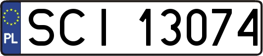 SCI13074
