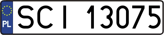 SCI13075