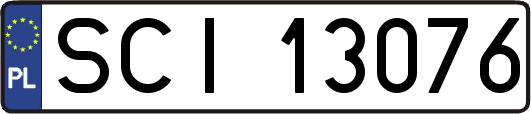 SCI13076