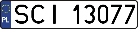 SCI13077