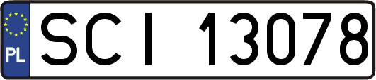 SCI13078