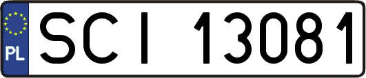 SCI13081