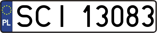 SCI13083