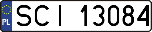 SCI13084