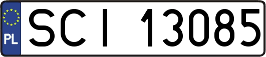 SCI13085