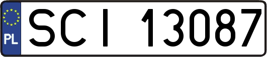 SCI13087