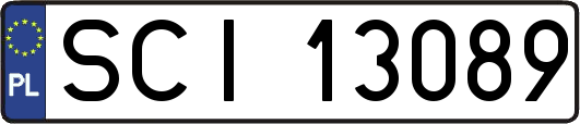 SCI13089