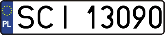 SCI13090