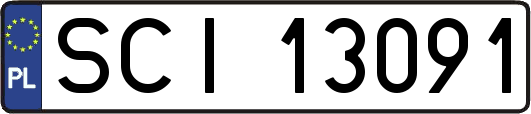 SCI13091