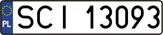 SCI13093