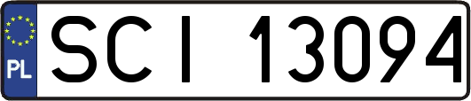 SCI13094