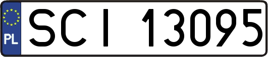 SCI13095