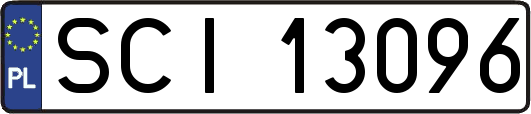 SCI13096