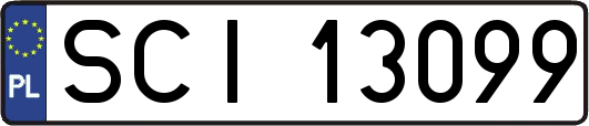 SCI13099