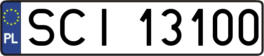 SCI13100