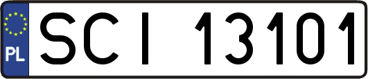 SCI13101