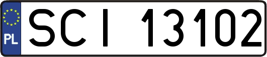 SCI13102
