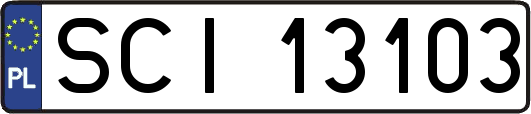 SCI13103