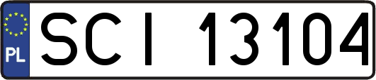 SCI13104