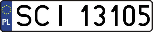 SCI13105