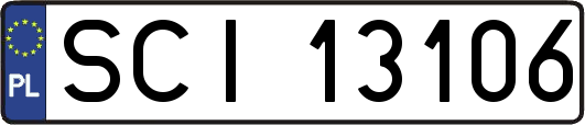 SCI13106