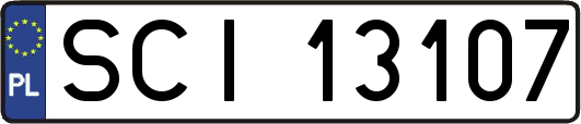 SCI13107