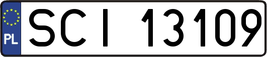 SCI13109
