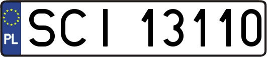 SCI13110