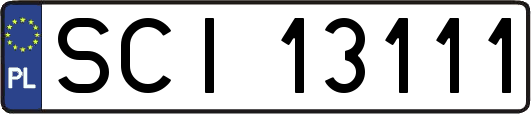 SCI13111