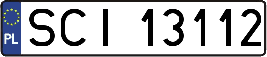 SCI13112