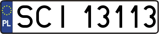 SCI13113