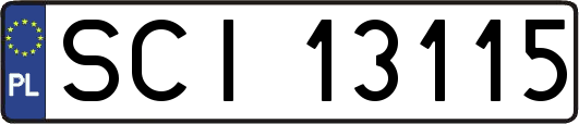 SCI13115