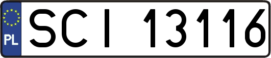 SCI13116