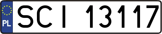 SCI13117