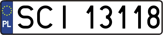 SCI13118