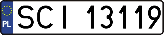 SCI13119