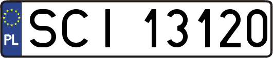 SCI13120
