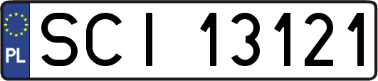SCI13121