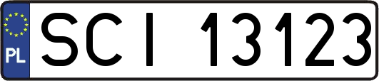 SCI13123