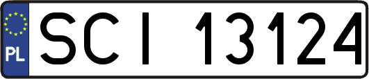 SCI13124