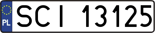SCI13125