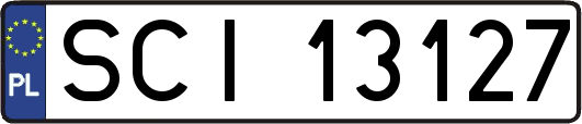 SCI13127