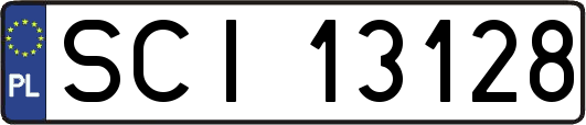 SCI13128