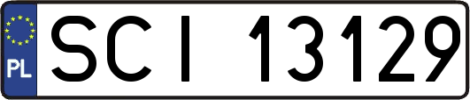 SCI13129