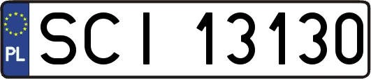 SCI13130